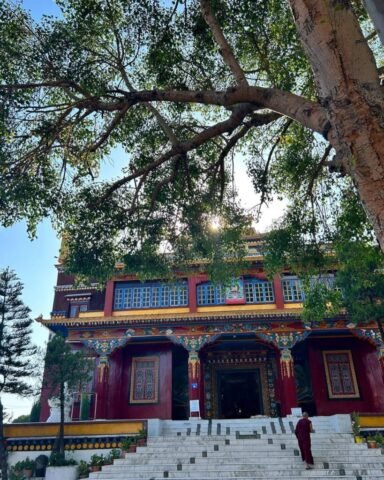 Outer View In Sunny Days