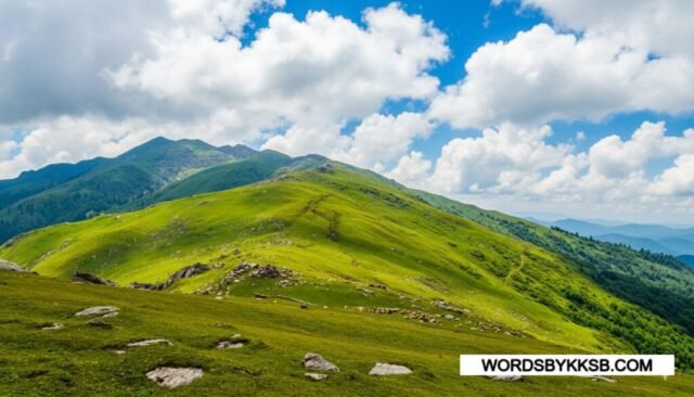 Beautifull View In Chanshal pass