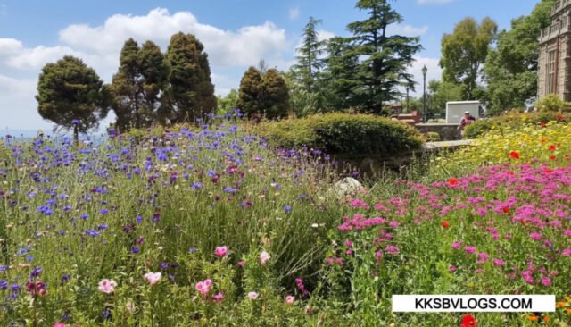 Flower Garden Flower Garden Area in Indian Institute of Advanced Study Shimla