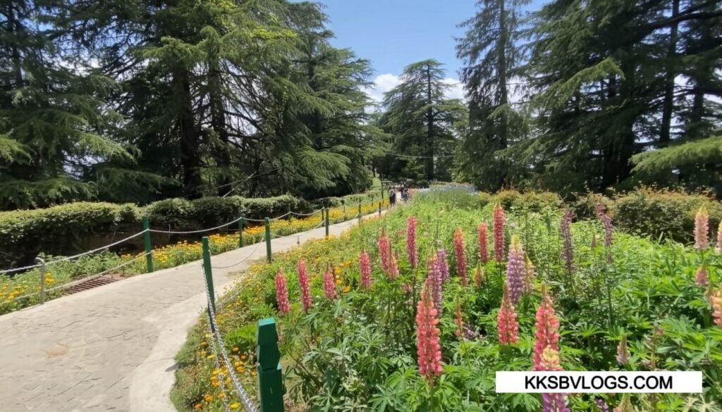 GArden Area In Indian Institute of Advanced Study Shimla 
