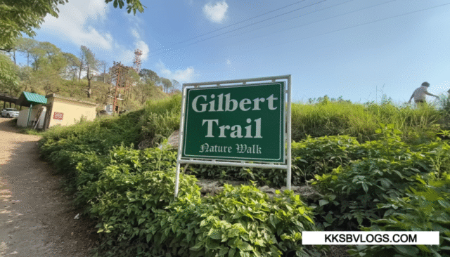 Gemini_Generated_Image_a5w0vla5w0vla5w0