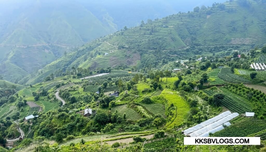 Orchard Experience & Apple Picking in Habban Valley