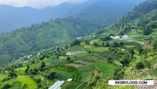 People orchard O Apple & peach in Habban Valley