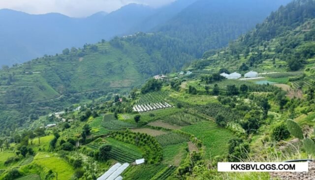 People orchard O Apple & peach People orchard O Apple & peach in Habban Valley