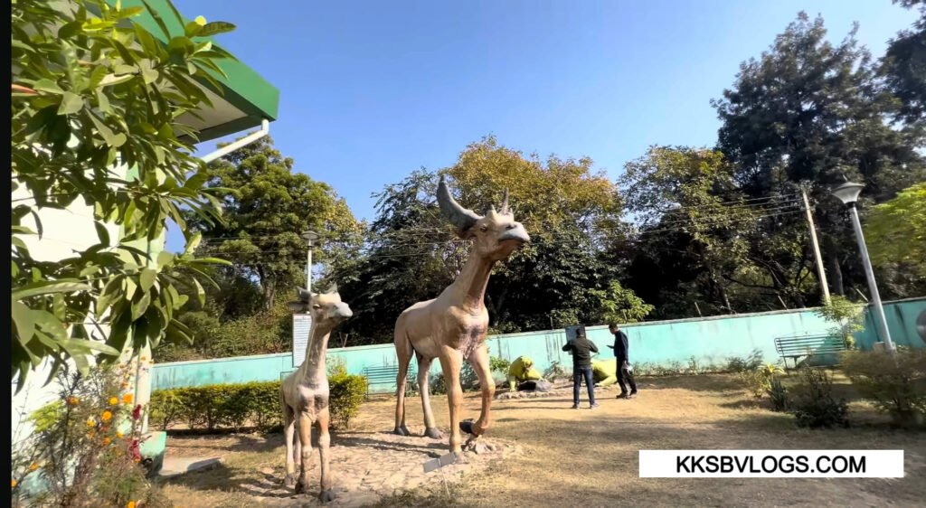 Suketi Fossil Park Himachal Pradesh – Asia’s First Prehistoric Fossil Site Complete Travel Guide