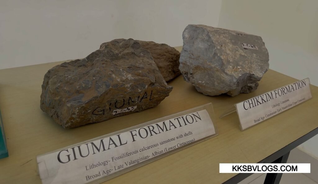 Geological & Paleontological Significance in Suketi Fossil Park
