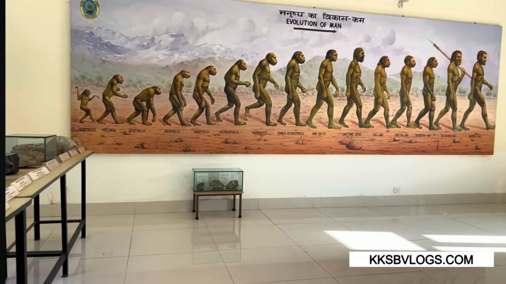 Suketi Fossil Museum & Display Halls