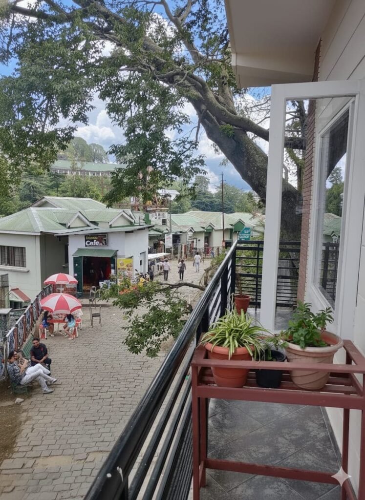 Kausali48 best hotels in kausali