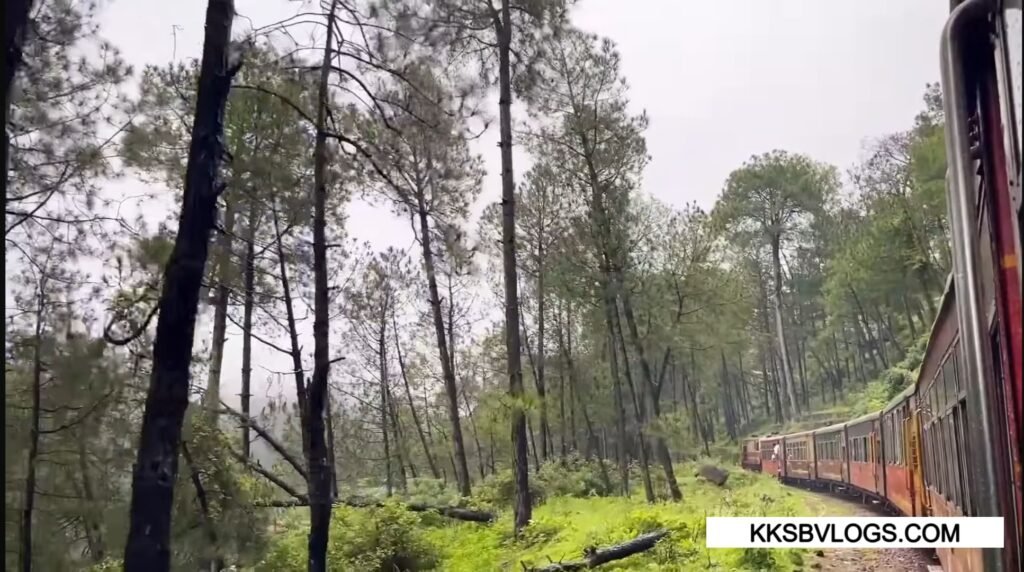 Toy train Going through the Jungle Area