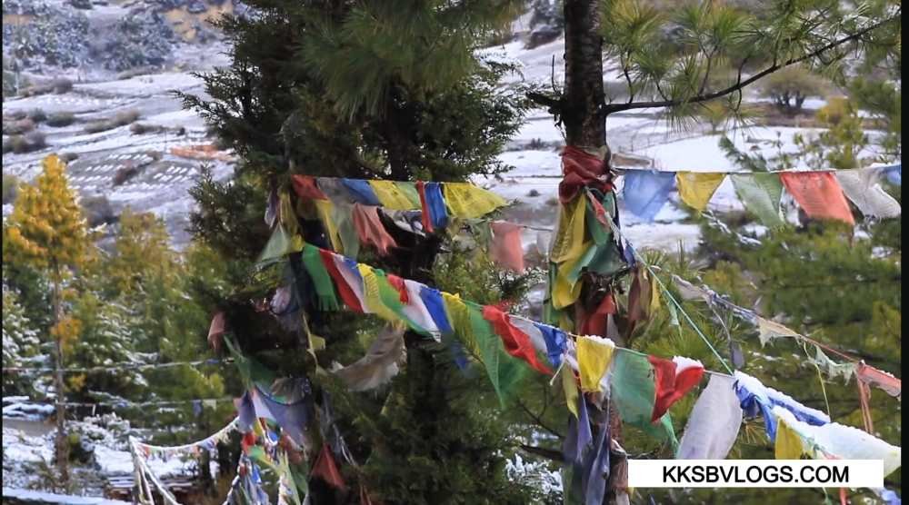Prayer Flags Colors Meaning (Five Elements Explained)