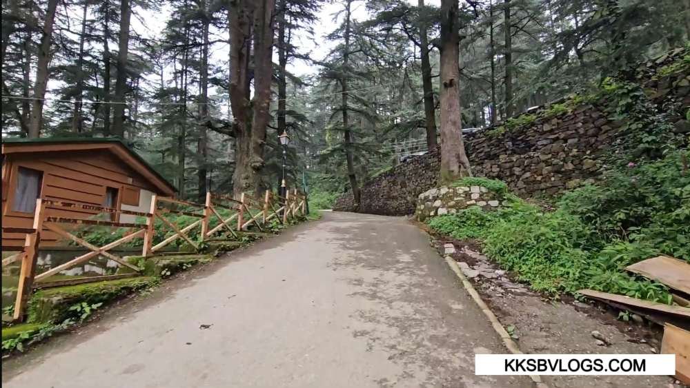 Road going to naldehra golf course