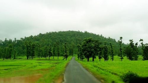 Polo Forest KKsb Blog Best Place in gujrat