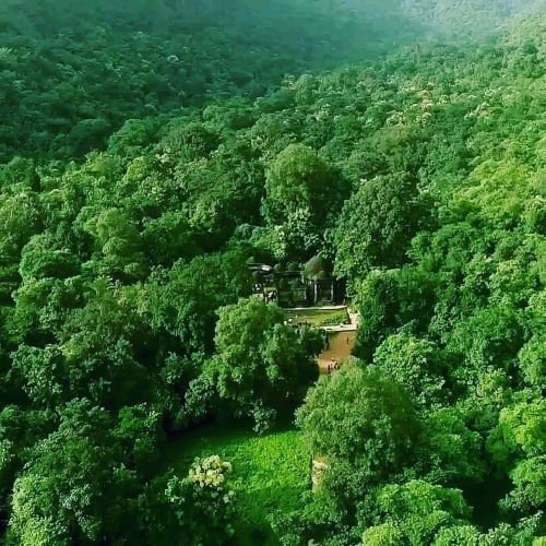 Polo Forest   view in gujrat best place